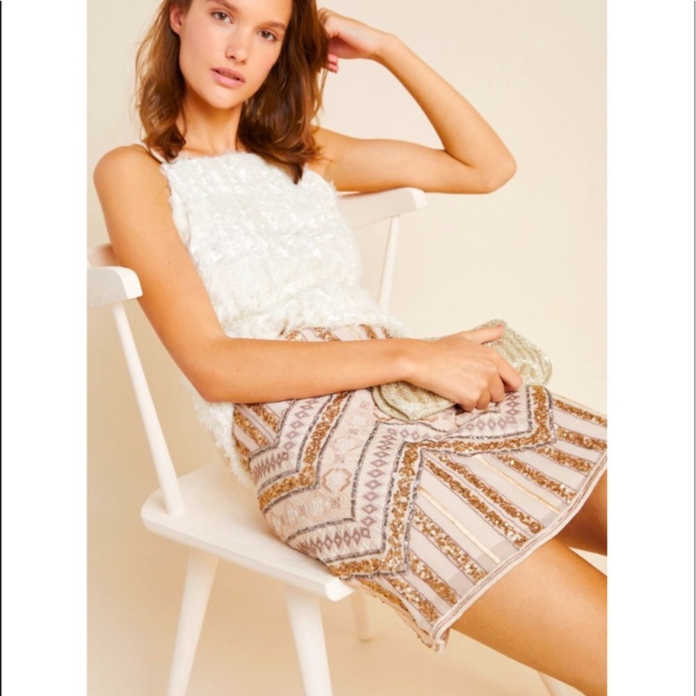 NWT Anthro Darla Embroidered Mini Skirt